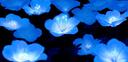 Discovery splash banner for azure ā© Discord server