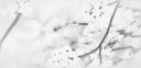 Discovery splash banner for ☆ Divinity ⟢ Hangout・60$ Discord server