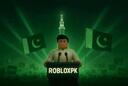 Discovery splash banner for RobloxPK Discord server