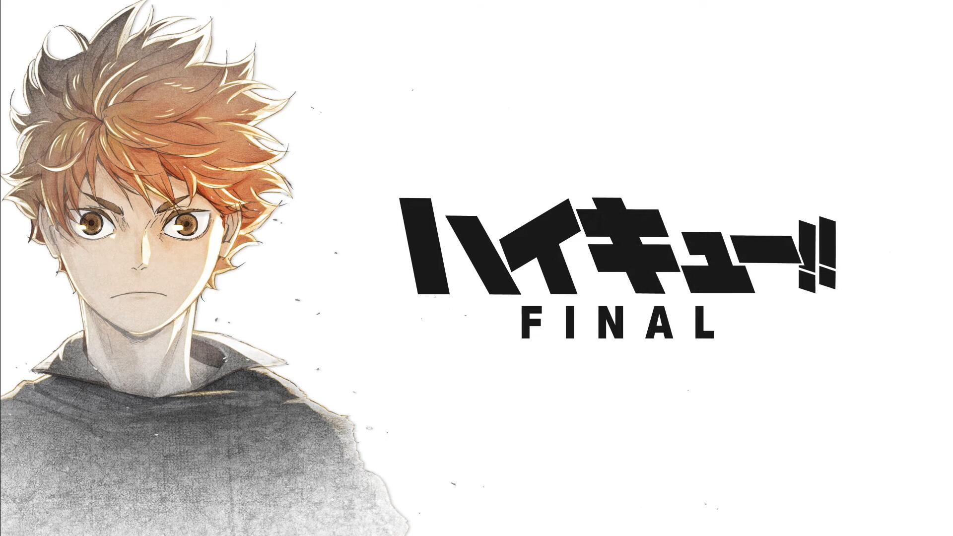 Discovery splash banner for Haikyuu Volleycamp Discord server