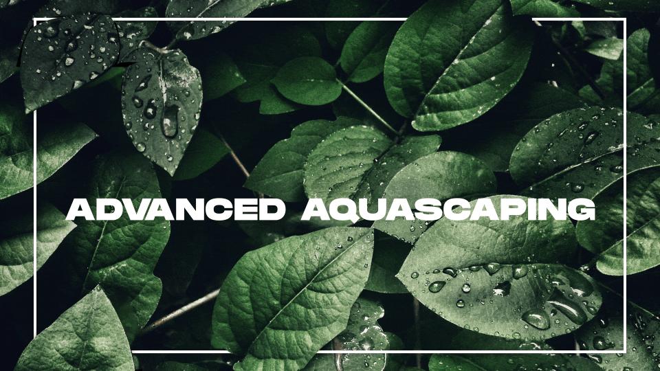 Discovery splash banner for Advanced Aquascaping Discord server