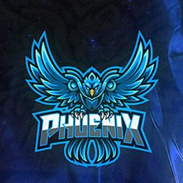 Discovery splash banner for PHOENIX Discord server