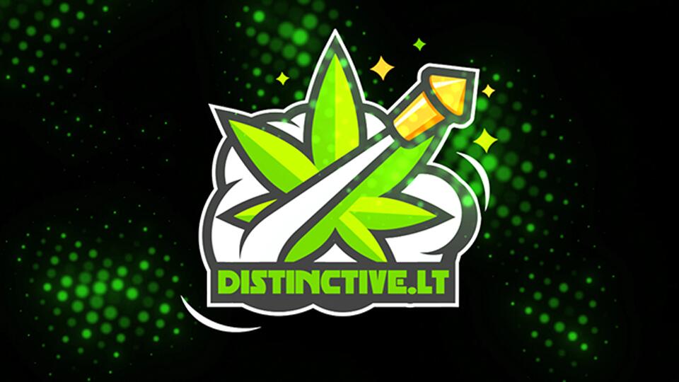 Discovery splash banner for DISTINCTIVE.LT RP Discord server