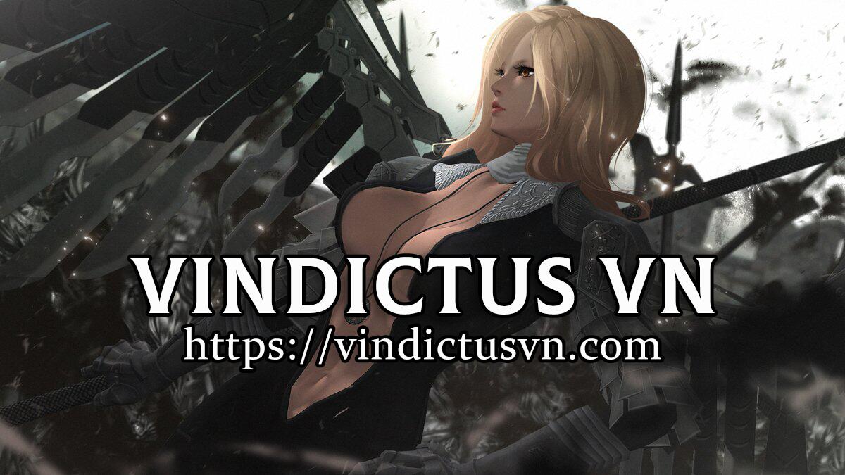 Discovery splash banner for VindictusVN Discord server