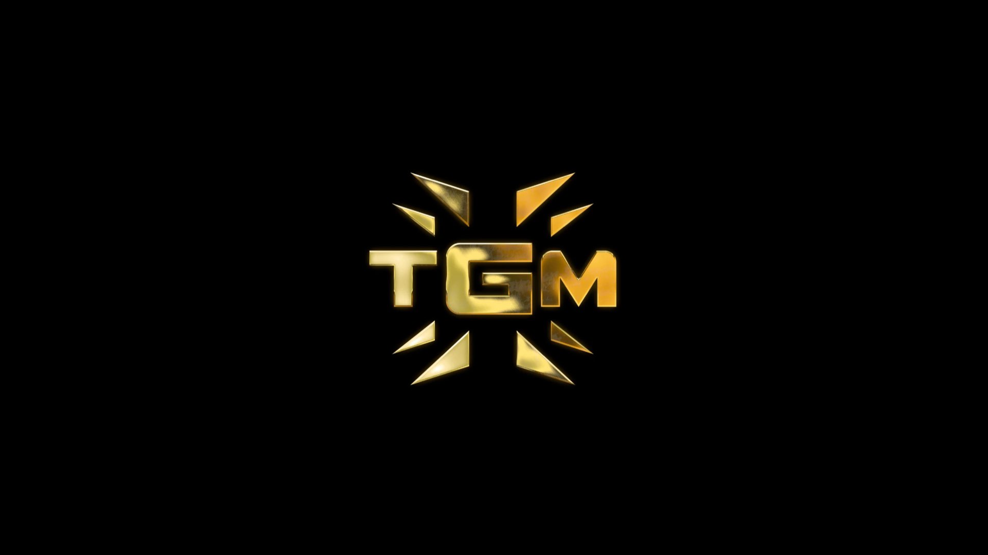 Discovery splash banner for TGM Server ™ Discord server