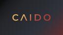 Discovery splash banner for Caido Discord server