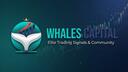 Discovery splash banner for Whales Capital Discord server