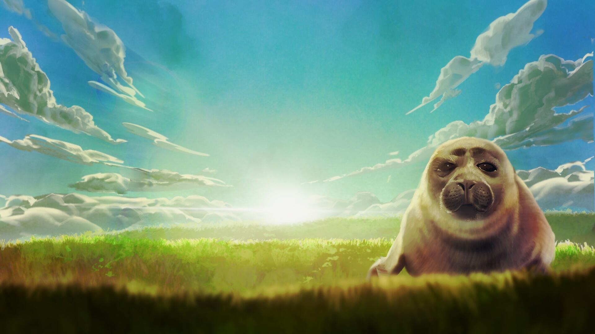 Discovery splash banner for The Seal Gang Discord server