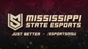 Discovery splash banner for MSU Esports Discord server