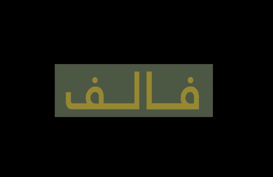 Discovery splash banner for Arab Valve Discord server