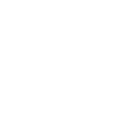 Discovery icon for Tsume Officiel Discord server