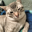 Discovery icon for ぼ | Rebirth G5 Discord server