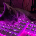 Discovery icon for Branch Discord server