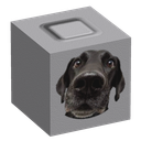 Discovery icon for Stud Systems Discord server