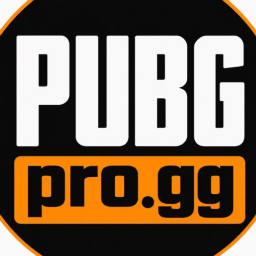 Discovery icon for PUBGPRO COMMUNITY Discord server
