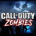 Discovery icon for Call of Duty Zombies Discord server