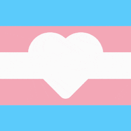 Discovery icon for Trans Community Center Discord server