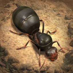 Discovery icon for The Ants Official Discord server